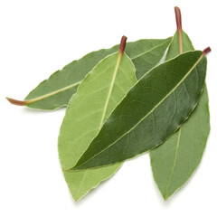 Sticker - Aromatic bay leaves .