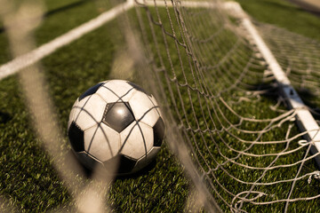 Wall Mural - soccer on grass and stadium