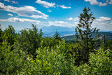 Fototapeta Na ścianę - A view from the peak of Jaworzyna Krynicka over the Tatra Mountains. Dense variegated forest in various shades of green, and blue sky with clouds above.