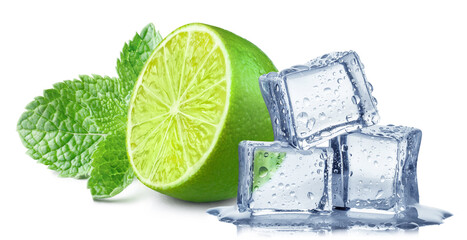 Wall Mural - Delicious lime with ice and mint, isolated on white background