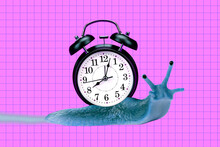 Composite Collage Illustration Of Snail Crawl Hold Big Classic Clock Isolated On Purple Checkered Background