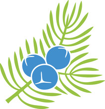 Juniper Berries Logo. Isolated Juniper Berries On White Background