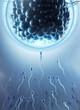 Leinwandbild Motiv Sperm directed towards the egg bubble, Natural fertilizatioื