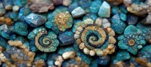 Ammonite  Flower Shell Rock Art Spirals In Aquamarine Ocean Blue With Hints Of Lapis Lazuli. Soothing Calm Summer Nautical Beach Colors. Digital Art. 
