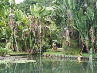 Wall Mural - Botanical Gardens in Rio de Janeiro