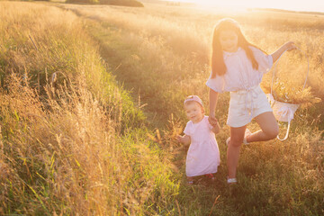 two little sisters in summer field at sunset