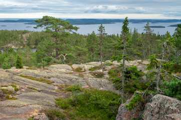 Wall Mural - View of Baltic sea and gulf of Bothnia from the top of the rock in Skuleskogen national park, Sweden. Hiking along the High Coast trail, Hoha Kustenleden.