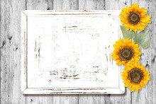 White Wood Sign Board Sunflowers Decoration Rustic Wooden Texture Background