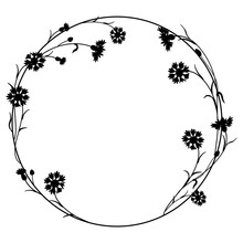 Beautiful Letter O With Blooming Branches Of Cornflower Or Knapweed Plant (Centaurea). Round Floral Frame. Black Silhouette On White Background.
