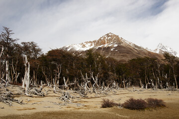 Wall Mural - Hiking at El Chalten, Patagonia, Argentina