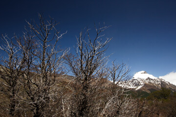 Poster - Hiking to Laguna Torre at El Chalten, Patagonia, Argentina