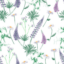 Floral Seamless Pattern. Print Hand Drawn Illustration Of Flowers. Lupins, Daisies And Green Peas - Floral Sketch On A White Background.