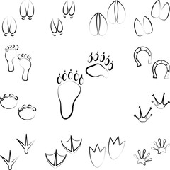 Poster - Bear tracks icon in a collection with other items