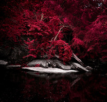Red Leaves White Rock Black Water