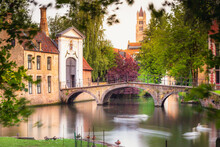 Blurred Swans Floating On Brugge Canal Waters With Reflection, Belgium
