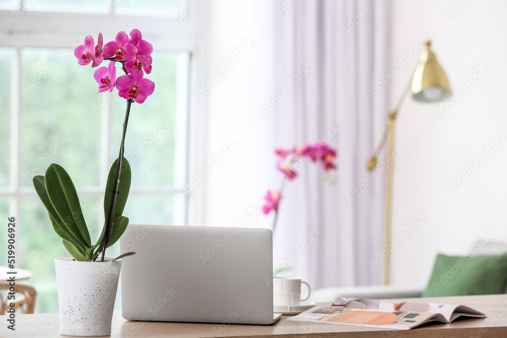 Beautiful orchid flower and laptop on table in light room