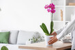 Woman and beautiful orchid flower on table in light living room