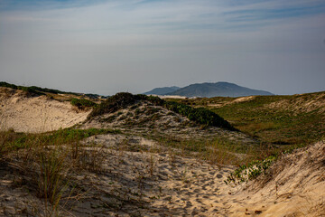 Wall Mural - dunes and mountains in the late afternoon in Florianópolis