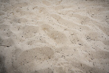 Close-up Photo Of The White Sand, Close Up Shot Of The White Sand And Some Shells As A Texture.