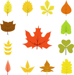 Poster - Autumn leave, red icon in a collection with other items