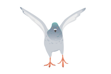  Gray pigeon with green head flying city dove bird vector illustration cartoon animal design