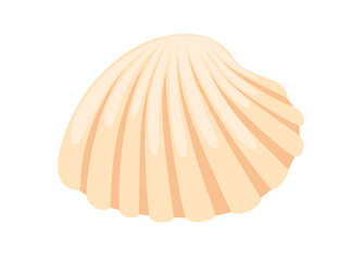 Wall Mural - colorful tropical underwater shell cartoon design vector illustration isolated on white background