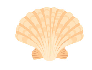 Wall Mural - colorful tropical underwater shell cartoon design vector illustration isolated on white background