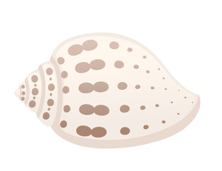 Wall Mural - colorful tropical underwater shell cartoon design vector illustration isolated on white background