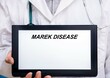 Marek Disease.  Doctor with rare or orphan disease text on tablet screen Marek Disease