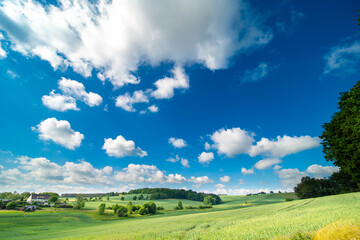 Wall Mural - panorama of a green summer field on a sunny day and clouds on blue sky
