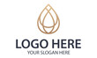 Luxury Color Line Art Water Drop Logo Design