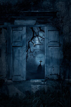 Seagull Bird Fly In Old Damaged Wood Window With Wall Over Cross, Church, Birds, Dead Tree, Full Moon And Spooky Cloudy Sky, Halloween Mystery Concept