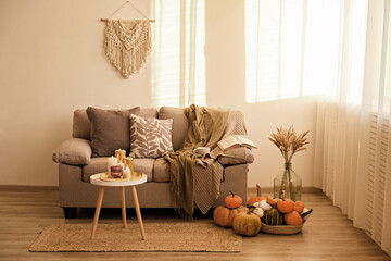 Bunch of pumpkins of different kinds, shapes and colors on the floor and a table, open book and cup of coffee. Symbol of autumnal holidays with a lot of copy space for text, close up, background.