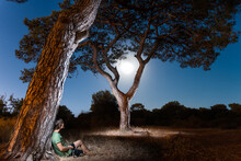 A Man Sits Under A Pine Tree At Night And Looks At The Moon, The Trees Are Illuminated By The Moon