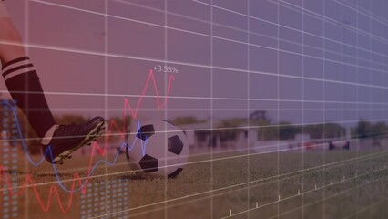 Canvas Print - Animation of graphs and financial data over legs of male soccer player with ball on field