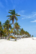 Leinwandbild Motiv Playa Spratt Bight beach travel with palms portrait format vacation sea on island San Andres in Colombia