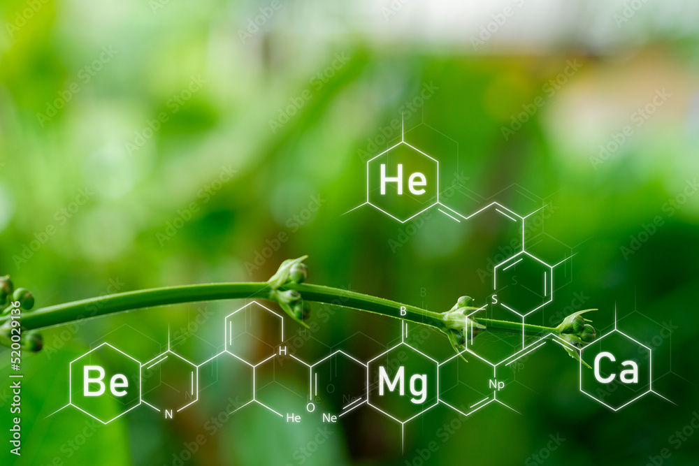 Biocomponents Background Plants background with biochemistry structure,Smart virtual screen ...