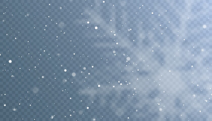 Poster - Winter cold blizzard effect. The texture of the winter wind. Vector