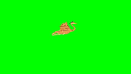 Wall Mural - Animation of a flying heron on a green background