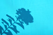 Leaf and flower shadows on a blue fabric background