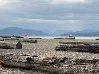 Wall Mural - Tree logs on Jericho beach in Vancouver BC, Canada