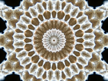 An Abstract Patter Made From Applying Fractal Mirroring To A Photo Of Snake Skin.
