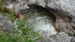 Sehr schönes Becken mit klarem und frischen Wasser in einem Bergbach (mit schönen Wassersounds)