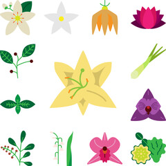 Poster - Herb, lily icon in a collection with other items