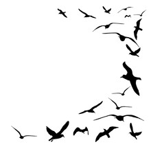 Flying Flock Of Birds. Flight Bird Silhouettes, Isolated Black Doves Or Seagulls Collection. Freedom Metaphor Vector Illustration. Flock Bird Black Silhouette Illustration