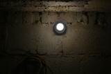 Fototapeta  - Żarówka świecąca na ciemno