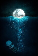 Color Image Of The Moon And Jellyfish Underwater 