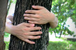 © SURASIT - Asian man arm hugging tree: love or nature protection concept