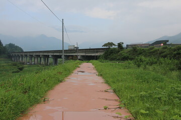 Wall Mural - bridge over river