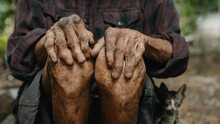 Close Up Of Male Wrinkled Hands, Old Man Is Wearing.